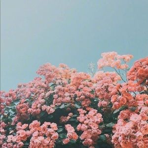 Meet your Posher, Mihyon